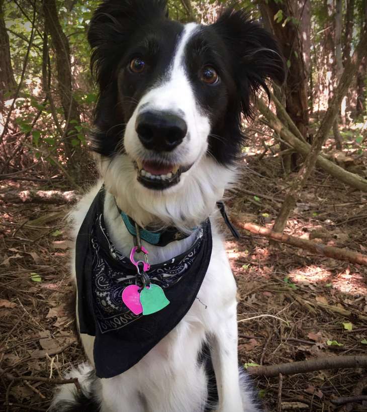 Zoe